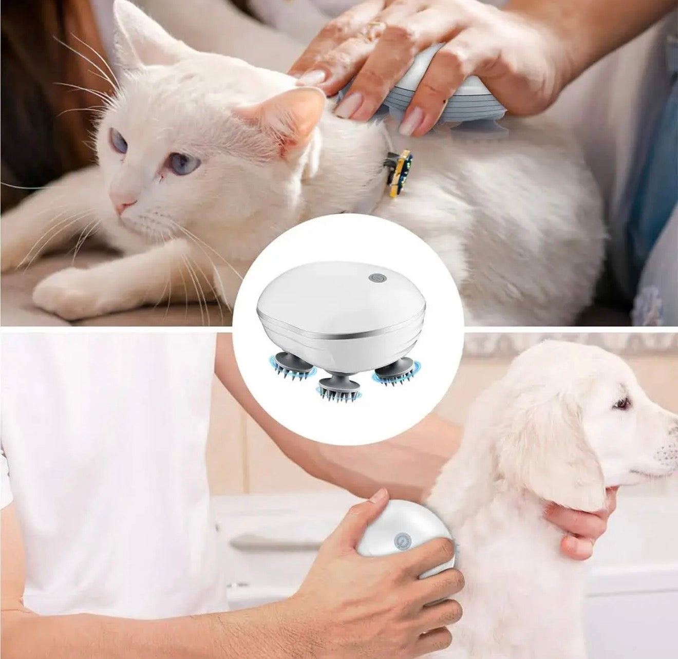 Head, Scalp & Body Massager